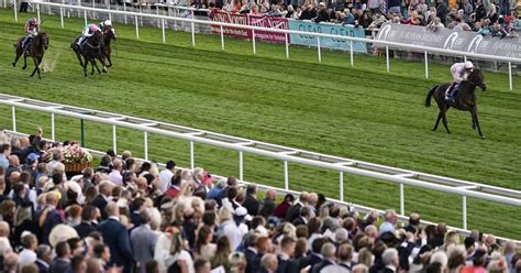 hexham horse racing results